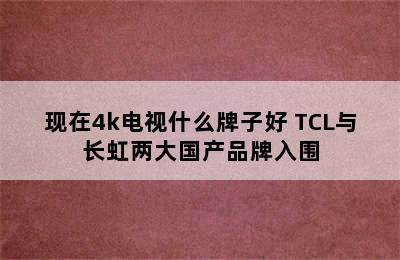 现在4k电视什么牌子好 TCL与长虹两大国产品牌入围